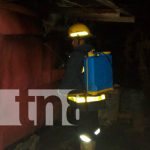 Bomberos sofocan dos incendios en la Isla de Ometepe nicaragua