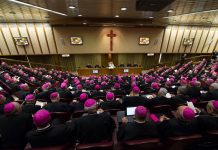 El Sínodo escucha a jóvenes latinoamericanos sobre abusos iglesia catolica
