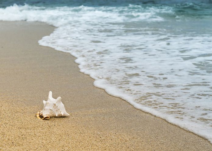 contaminacion de los oceanos