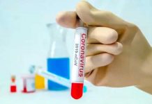Países Bajos registra 190 casos nuevos y 5 muertes por coronavirus paises bajos