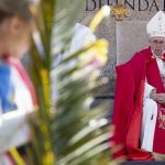 Domingo de Ramos: El Papa invita a resistir al demonio papa francisco