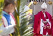 Domingo de Ramos: El Papa invita a resistir al demonio papa francisco