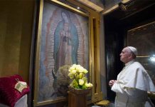papa francisco