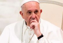 El papa desea que reconstrucción de Notre Dame sea una obra coral papa francisco