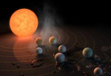 orbita de las estrellas