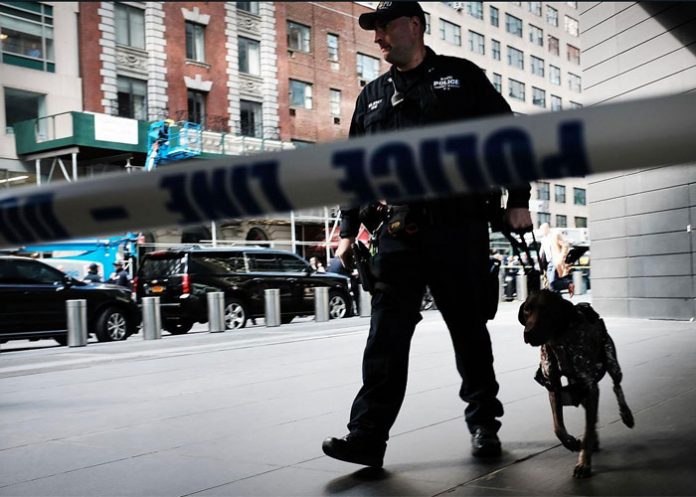 PNY_RVe8j9H estados unidos