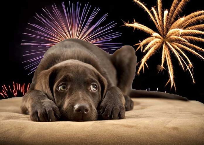 aislamiento acustico