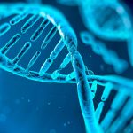 deficiencia inmunitaria