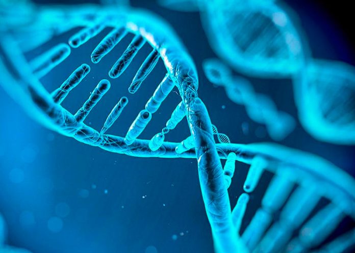 deficiencia inmunitaria