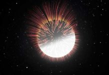 Descubren a una estrella que hizo estallar a otra supernova