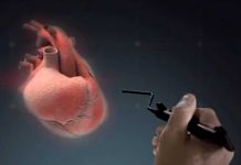 ¿Cuánto podría ayudar la inteligencia artificial a la salud humana? hologramas