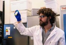 Científico chileno crea piel fotosintética para regenerar tejido humano piel fotosintetica