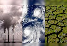 Encuentran soluciones naturales contra el cambio climático estados unidos