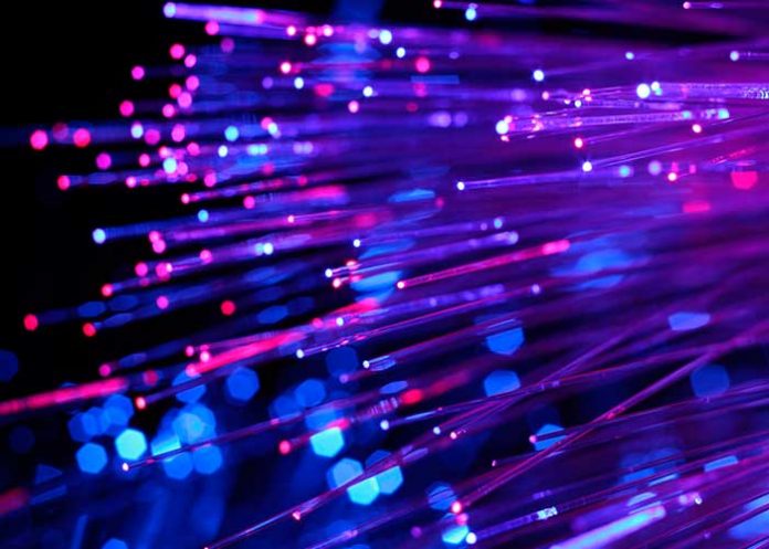 PORTADA_yXje9Rl red jerarquica