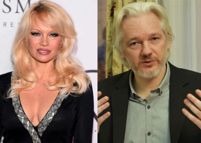 actriz pamela anderson