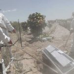 México roza los 92.000 fallecidos por la COVID-19 mexico
