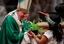 El papa clausura histórico sínodo de la Amazonía papa francisco