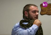 El impactante momento en que un pastor es mordido por una serpiente durante su sermón iglesia de middlesboro