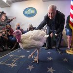 Investigan brote de salmonela en pavos de EE.UU. estados unidos