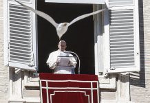 El papa alerta en Año Nuevo sobre la soledad y la división en el mundo papa francisco