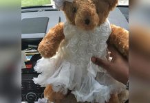 Madre pide que le devuelvan osito robado que tiene las cenizas de su hija estados unidos
