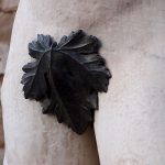 Corte de Nueva Zelanda ordena medir pene a acusado de agresión sexual nueva zelanda