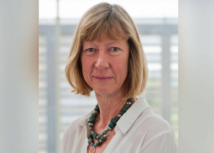 vicedirectora ejecutiva