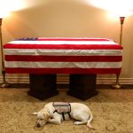 george h.w. bush
