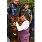 Video: Rescatan a perro que quedó atascado en una tubería estados unidos