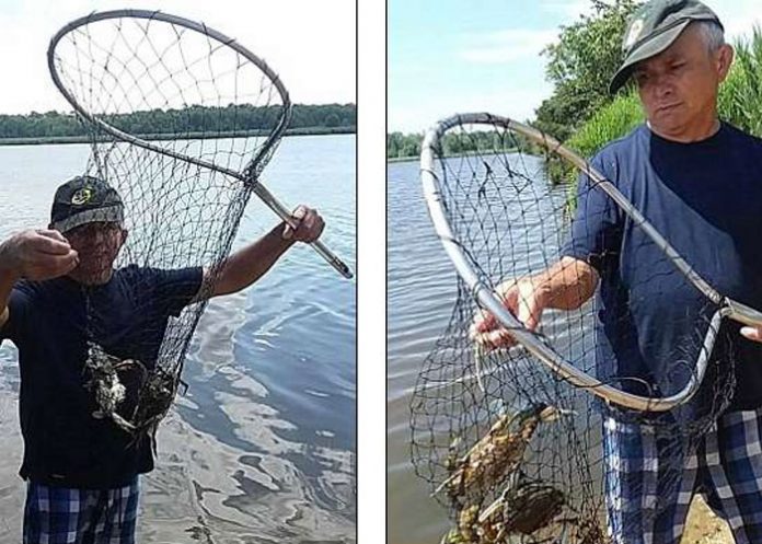 Pescador_PTd7fYV bacteria carnivora