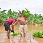 depresion tropical eta