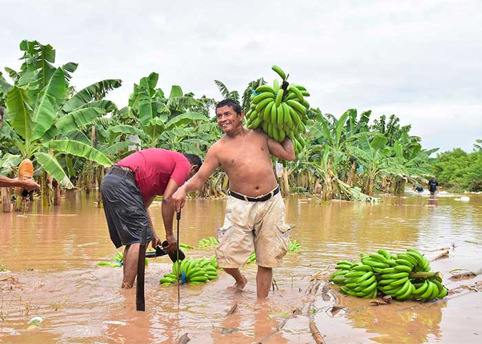 Platanos depresion tropical eta