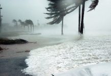 Florida en alerta por el huracán Michael estados unidos