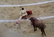 Tardes de alegría para niños y niñas en la Plaza de la Revolución madrid