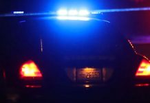 Policía sorprende a pareja que había capturado, practicando sexo en la patrulla estados unidos