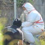 Joven reportado como desaparecido es encontrado muerto en Sonsonate, El Salvador cadaver