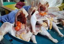 Gran dinamismo en mercado Israel Lewites por fiestas de fin de año cena de fin de ano