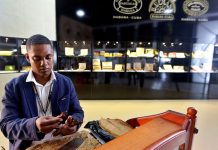 Ventas de puros habanos alcanzaron USD 537 millones en 2018 cuba