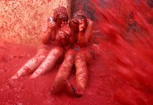 Se lanzan 145.000 kilos de tomates como munición en la guerra festiva de la «Tomatina» europa