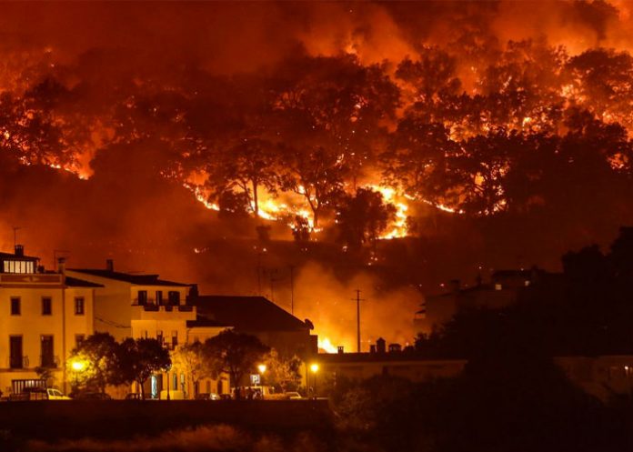 Portugal_lbP38A7 portugal