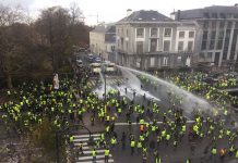 bruselas