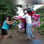 Fotografían un Ili pika por primera vez en 20 años china