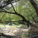 Filipinas: Bus cae a quebrada y causa al menos 24 muertos nino