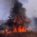 Incendios ya casi devoran 15 mil hectáreas de bosque en Honduras honduras