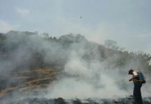 Panamá: Incendio en Los Santos deja más de mil hectáreas quemadas incendios forestales