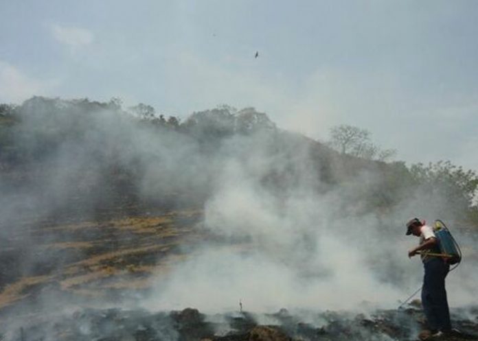 incendios forestales