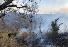 Reportan incendios en siete departamentos de El Salvador el salvador