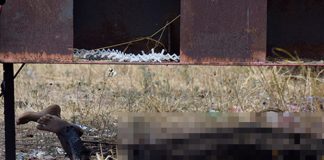asesinato de mujer