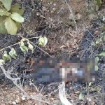 Caen dos feminicidas en Oaxaca, México mexico