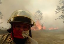 Honduras reporta a la fecha 358 incendios forestales honduras